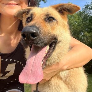 Meet your Posher, Han